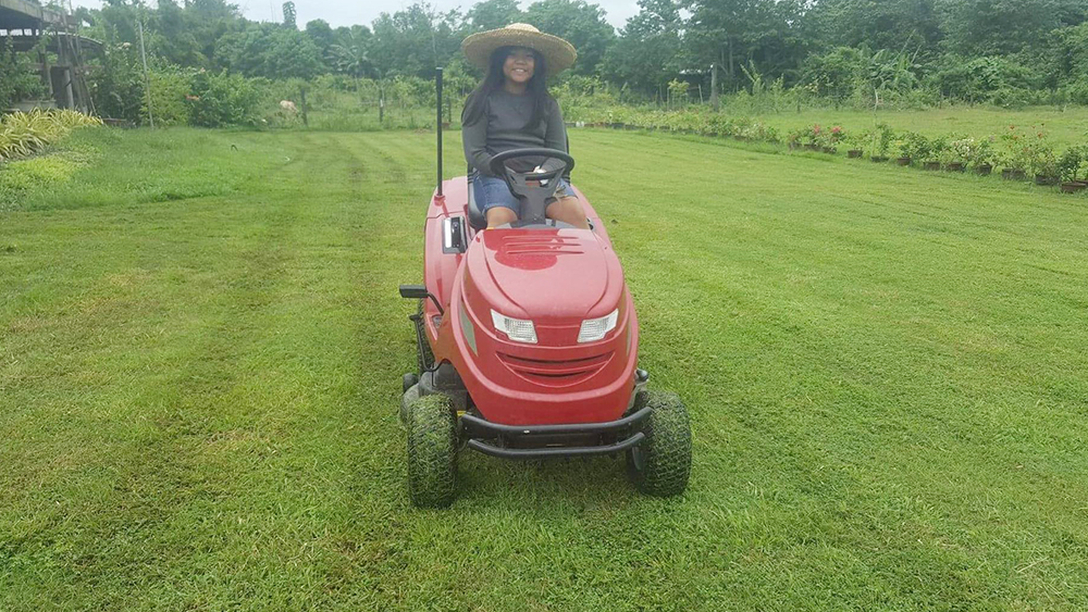 Riding Lawn Mower Philippines