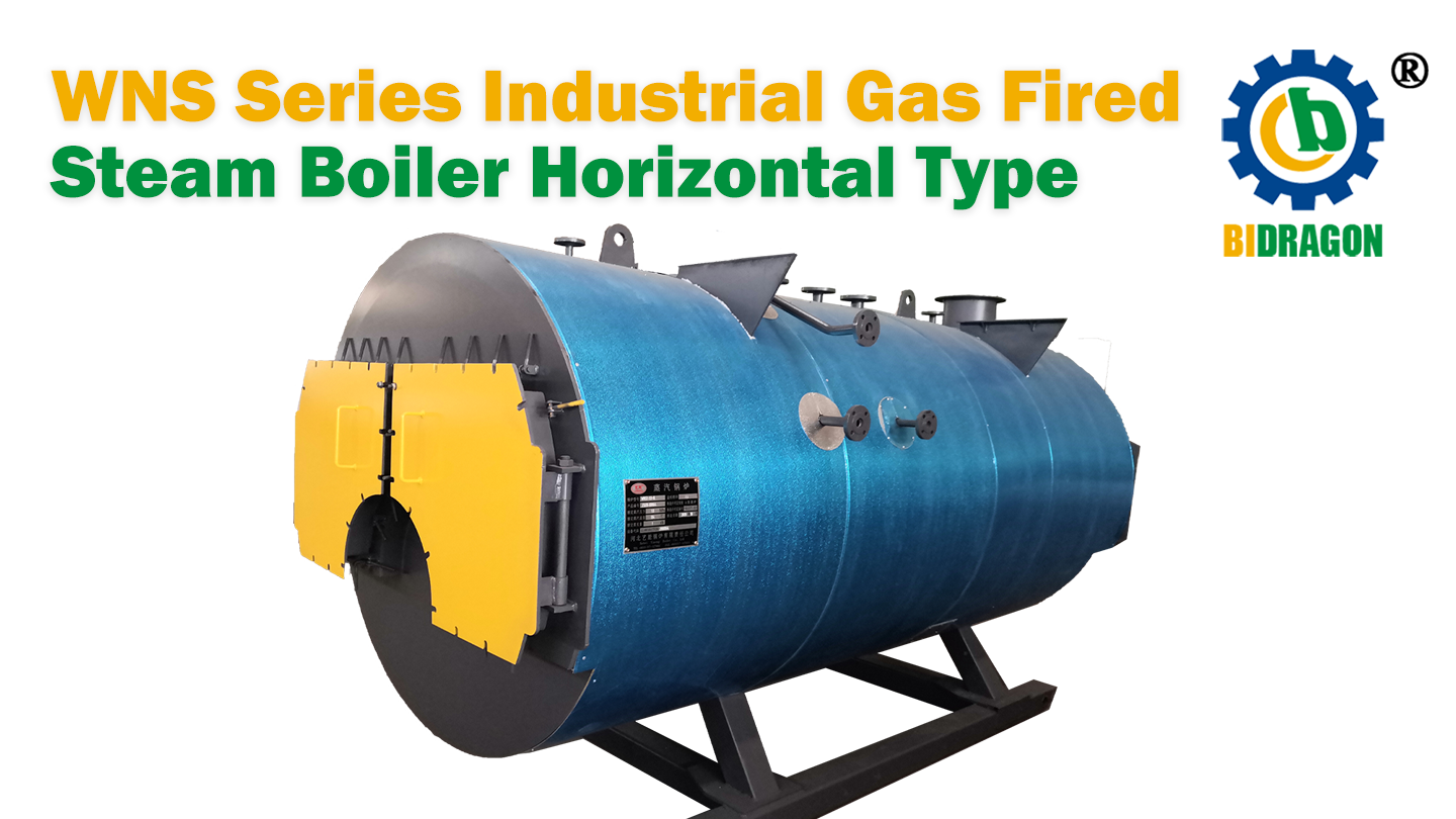 Produttori di caldaie a vapore a gas industriali serie WNS